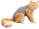 [+POR- R$ 25,42] Roupa pós-cirúrgica p/ gatos Tam 0 (1,6kg a 2,1kg) - 1
