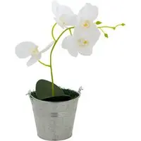 ARRANJO AYALA LILY ORQUÍDEA