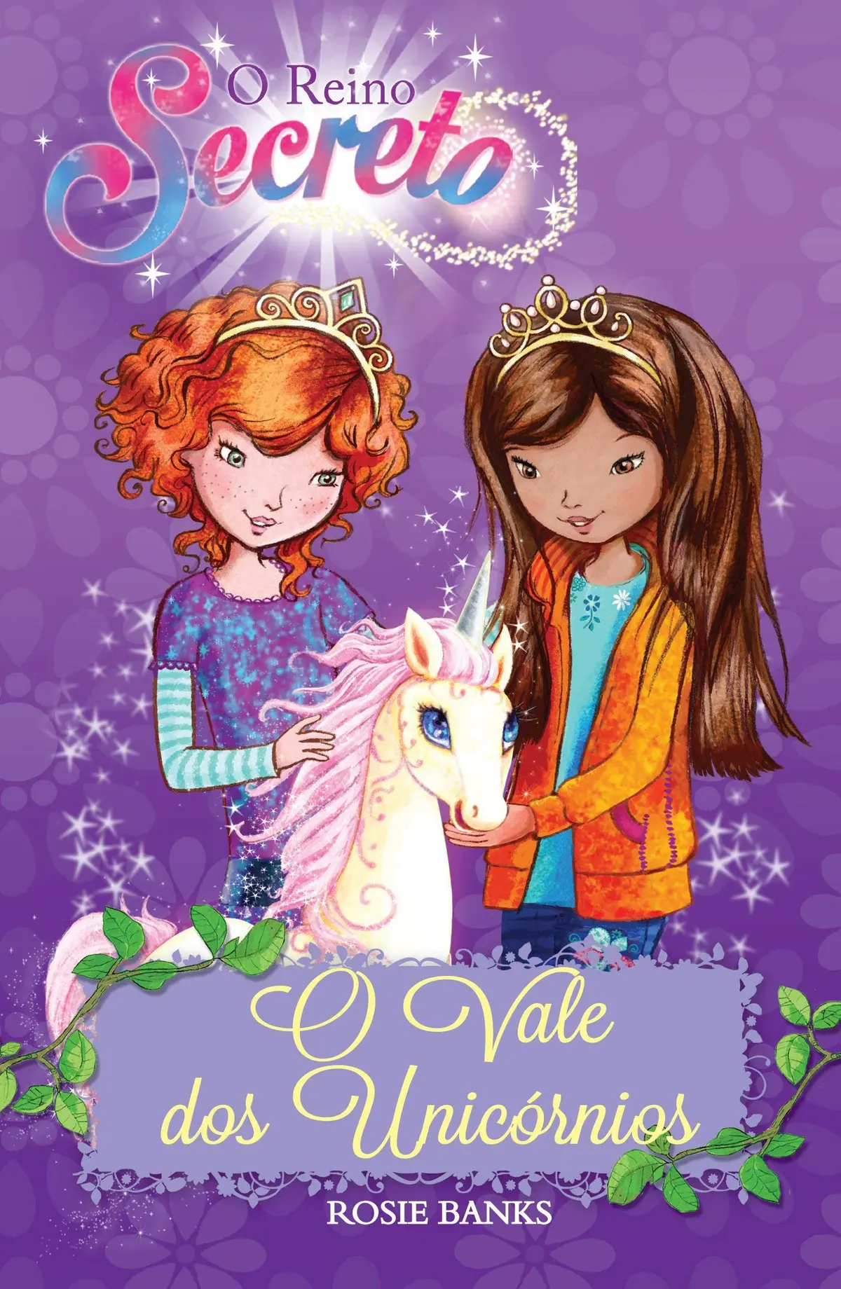 O reino secreto - O vale dos unicórnios - Livro 2: Volume 2