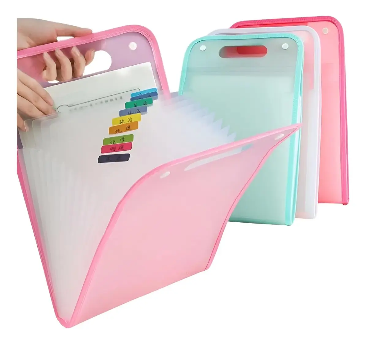 Pasta Organizadora A4 12 Divisórias Ideal para Estudantes Escritório e Concursos Presente Volta às Aulas e Profissionais por Elástico e Etiquetas Organize Documentos (Rosa)