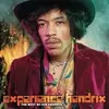 Experience Hendrix - Vinil de Jimi Hendrix