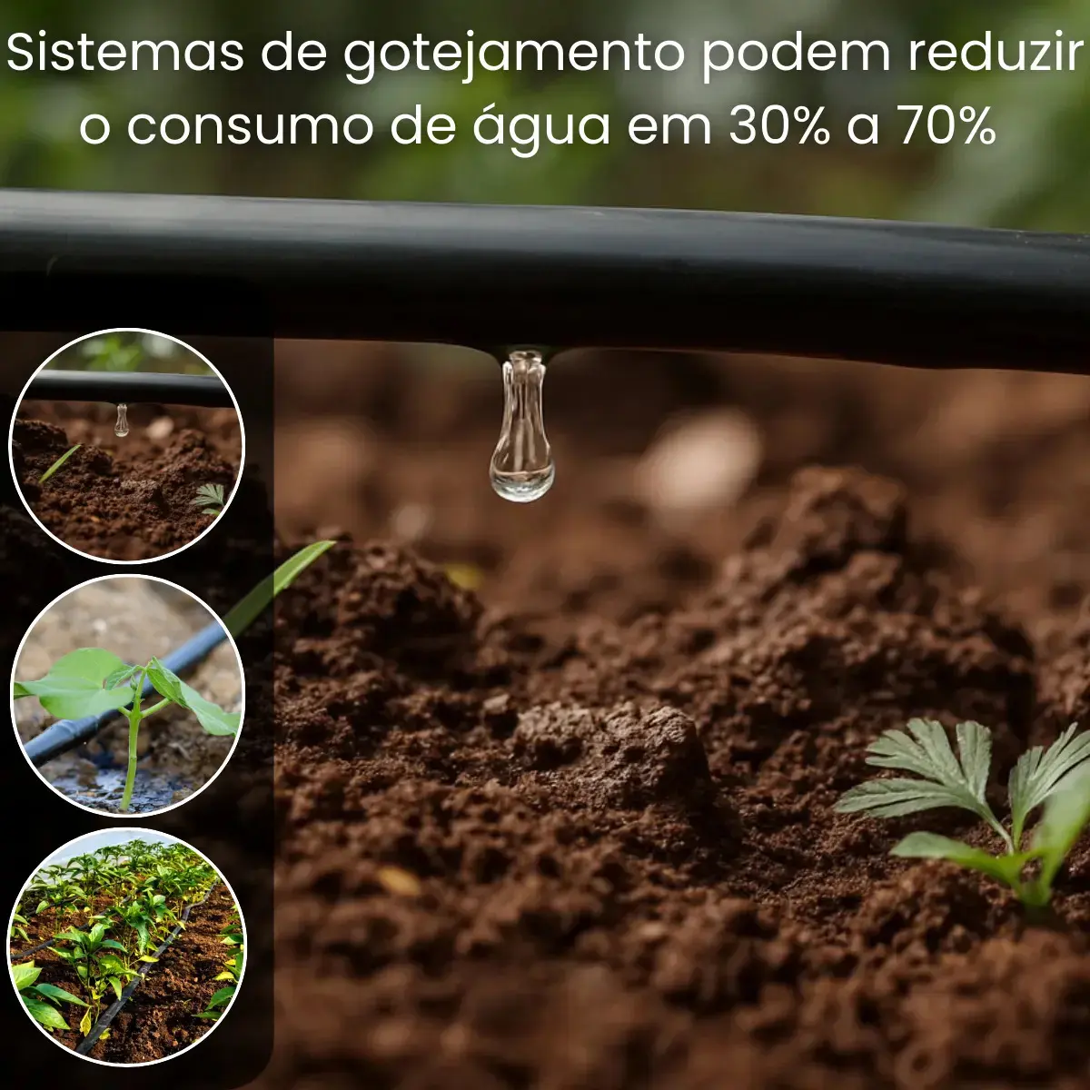 Mangueira Gotejamento Para Irrigação 1.000mts Horta 50/50cm Preto Revomax thumbnail 3