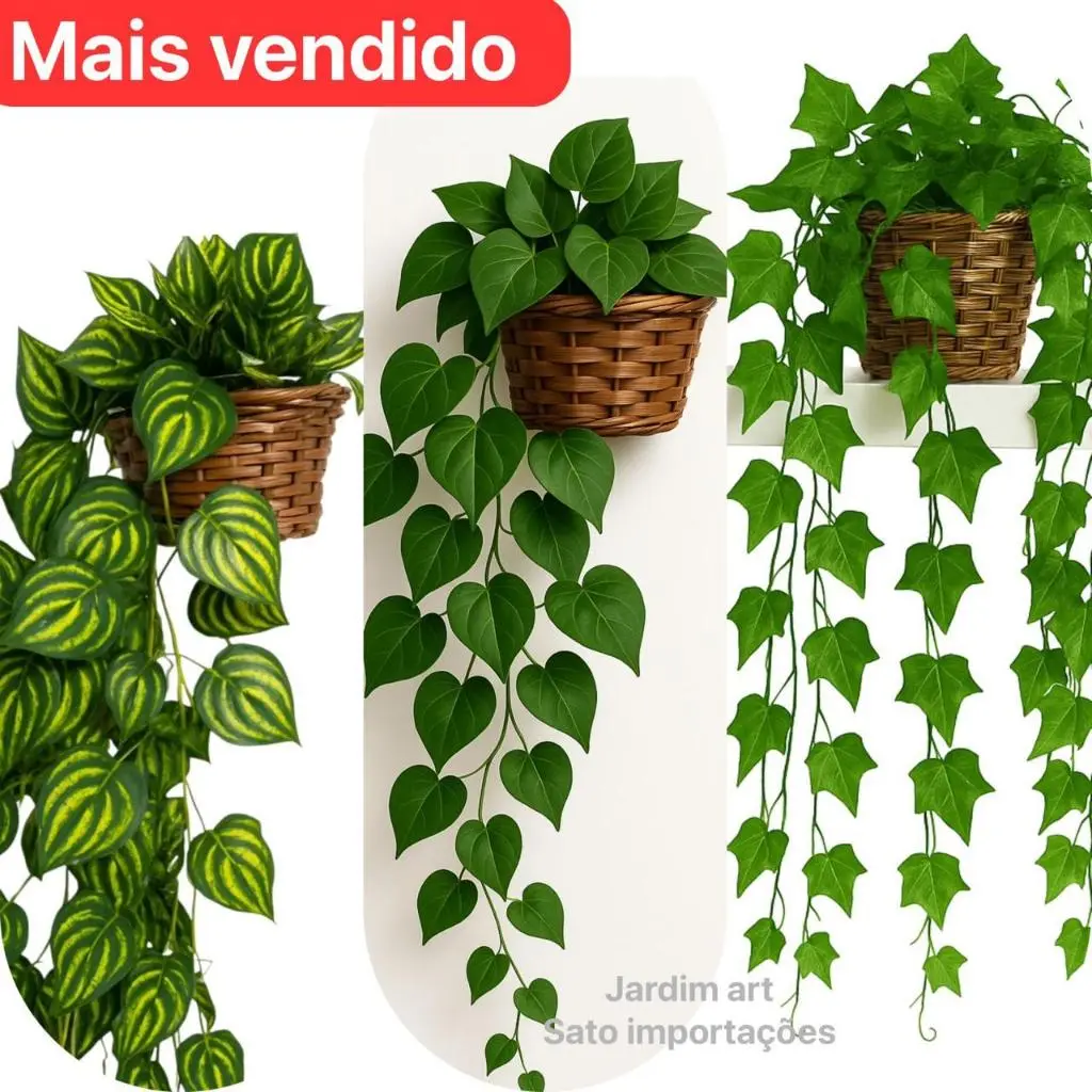 Arranjo c/ 3 Trepadeira Folha de HERA + Vaso Trançado Marrom - 1