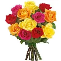 Ramalhete de 12 Rosas Coloridas - 1