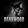 Jogo Darkwood - Survival Horror para Nintendo Switch - 1