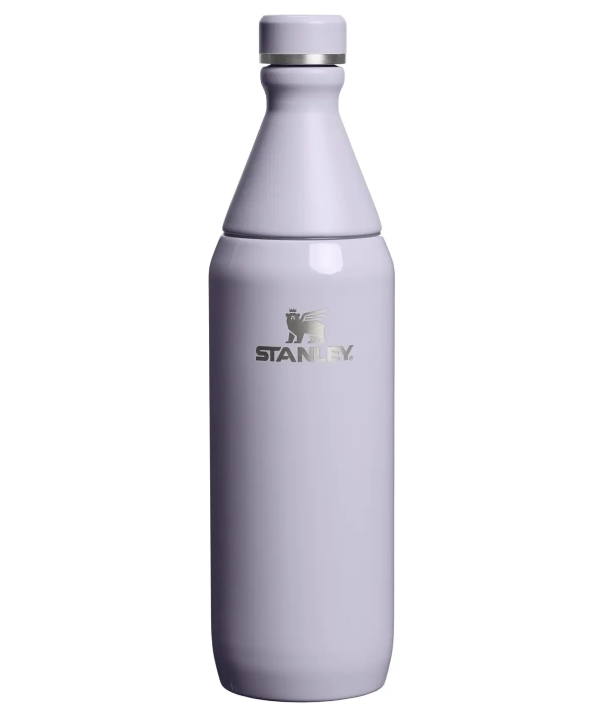 Stanley - Garrafa térmica Slim Bottle para água e bebidas frias, colarinho removível para adicionar Gelo, à Prova de vazamentos, aço inoxidável, 591ml, Purple Dust