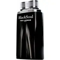 Black Soul Ted Lapidus Eau de Toilette - Perfume Masculino 30ml