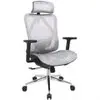 Cadeira de Escritório Dr. Office Ergo, Branco, Mesh, Altura Ajustável, DR-CH-EGR2DBWF - 1