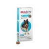 Bravecto 1000mg para Cães de 20 a 40kg Antipulgas e Carrapatos 1 Comprimido - 1