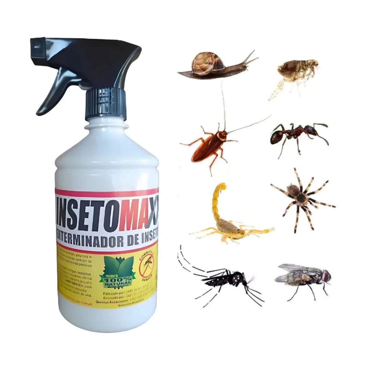 02 Inseticida Mata Insetos Natural Ecológico Insetomax