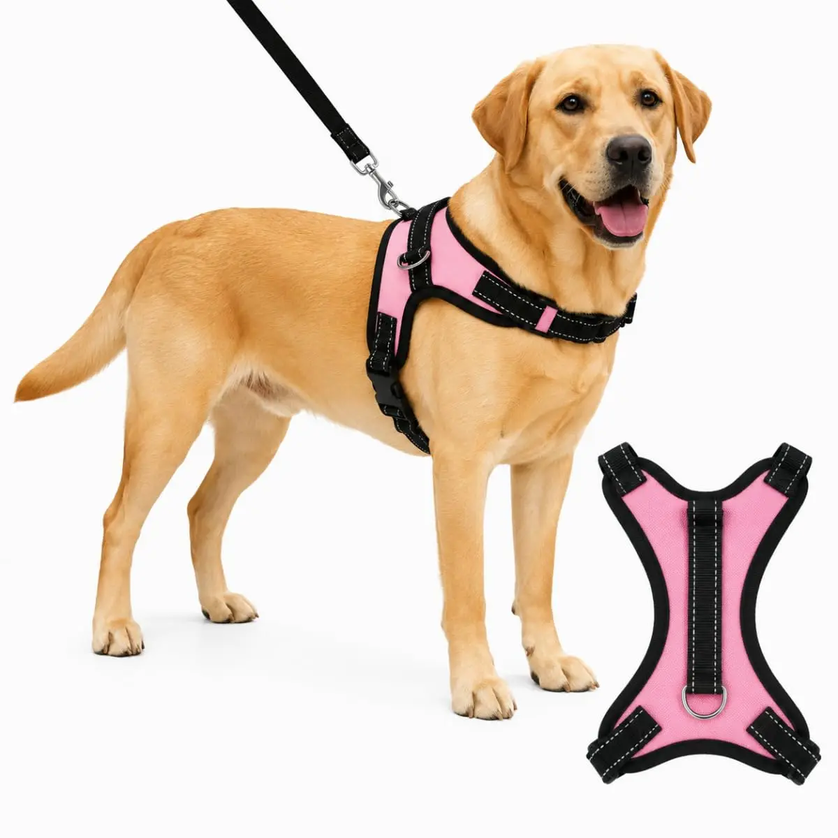 Coleira Peitoral G com Regulagem e Dupla Trava de Segurança para Cães e Gatos (ROSA)