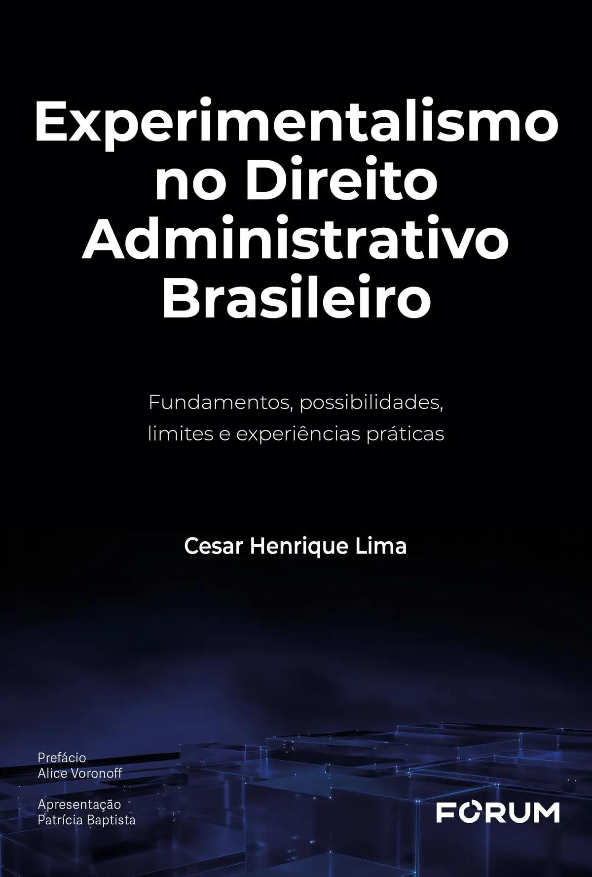 Experimentalismo no direito administrativo brasileiro: fundamentos, possibilidades, limites e experiências práticas