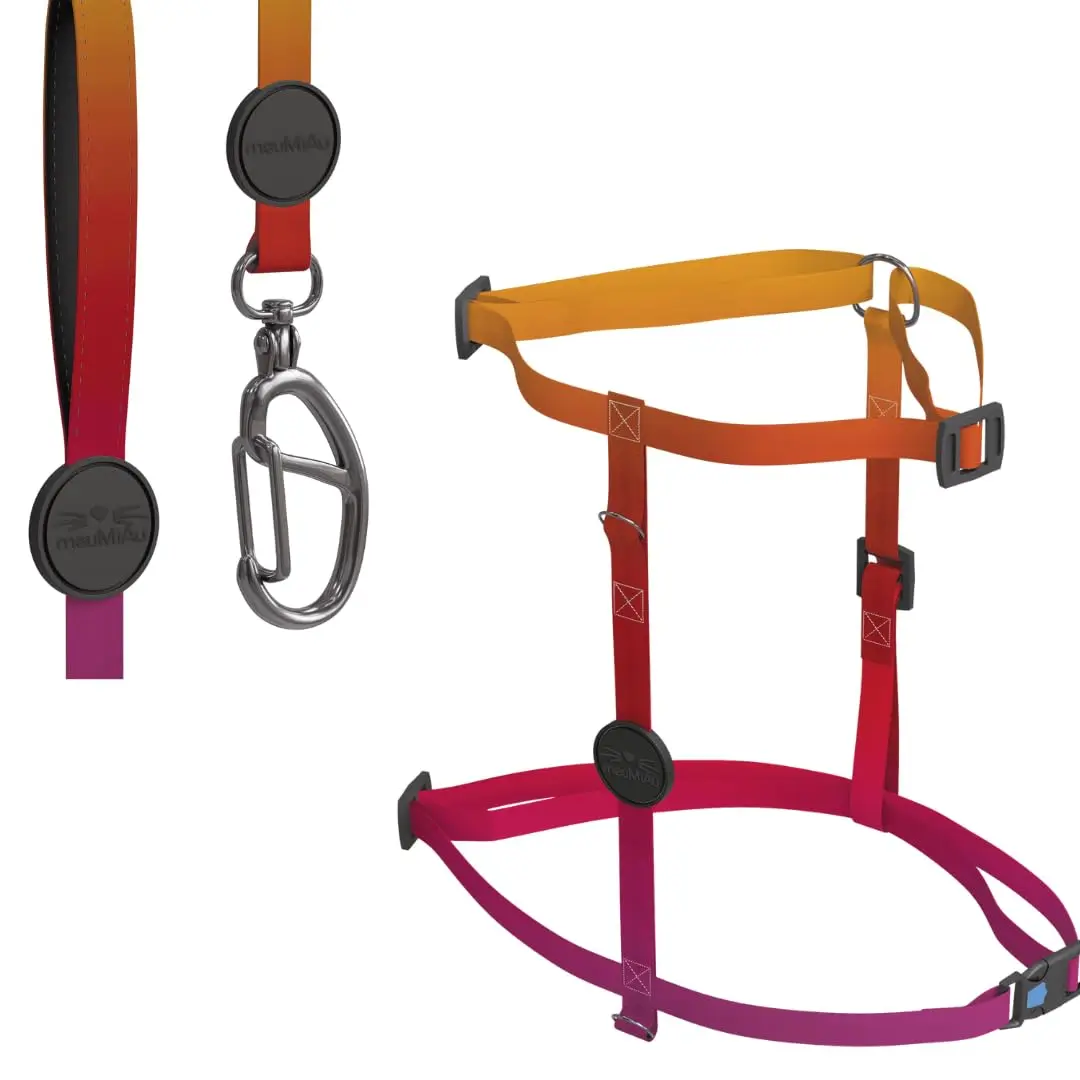 Kit meuAuAu H MeuMiau Citrus, Multicolorido, Tamanho Único
