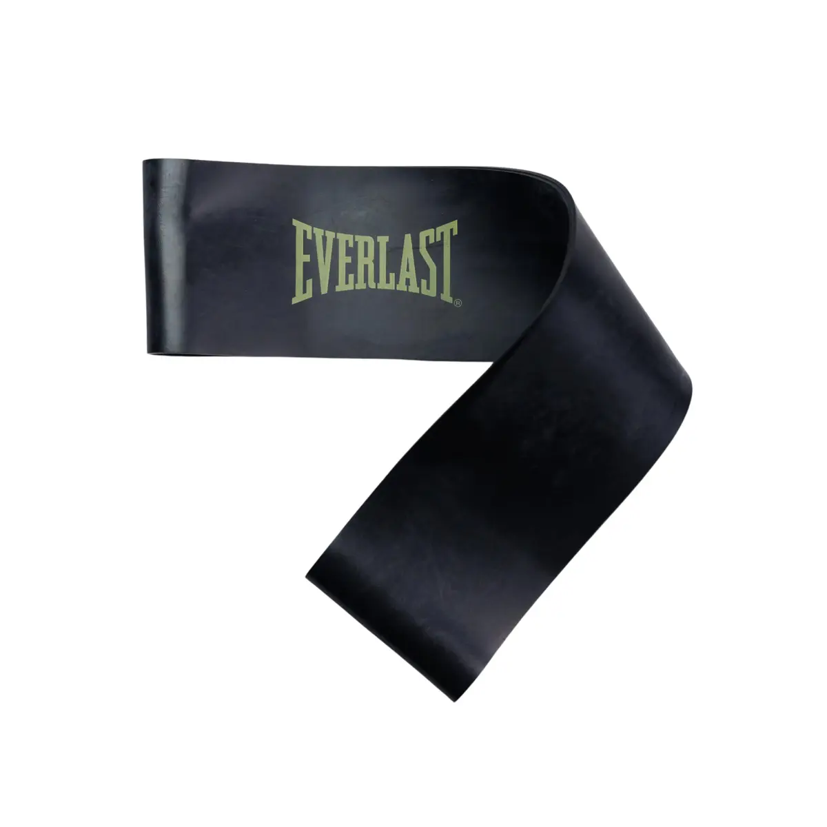 Everlast Mini Band