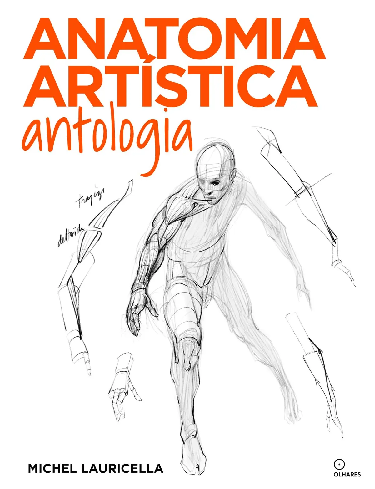 Anatomia artística Antologia: (11º volume da coleção Anatomia artística)