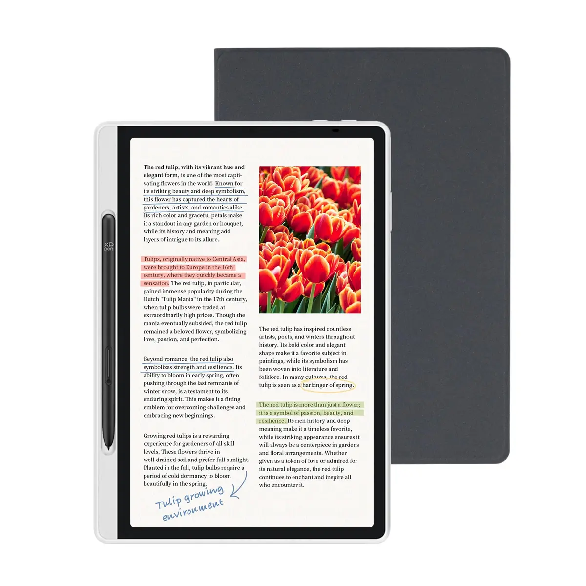 XPPen Magic Note Pad Tablet, Livros Eletrônicos com Três Modos de Cor