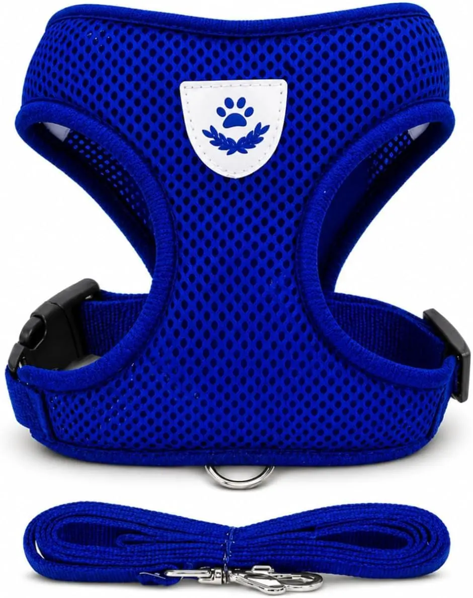 Peitoral Ajustável para Cachorro e Gato GG com Guia 1,20m, AZUL | Faixa Refletiva, Respirável, Confortável e Seguro, Inclui Guia, Tamanho GG - 1
