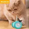 [Moedas R$3] Rojoeco inteligente gato balanceamento carro interativo brinquedo do gato movendo pena gato vara para cão animal de estimação  - 1