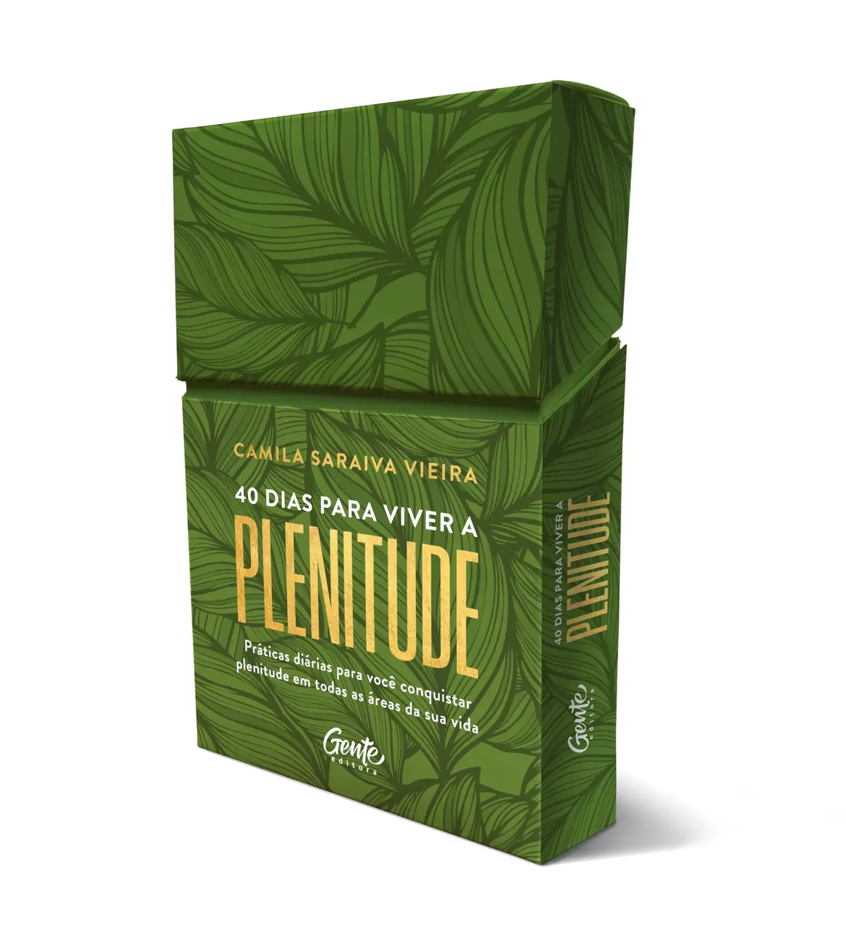 40 Dias para viver a plenitude [minilivro]: Práticas diárias para você conquistar plenitude em todas as áreas da sua vida - 1