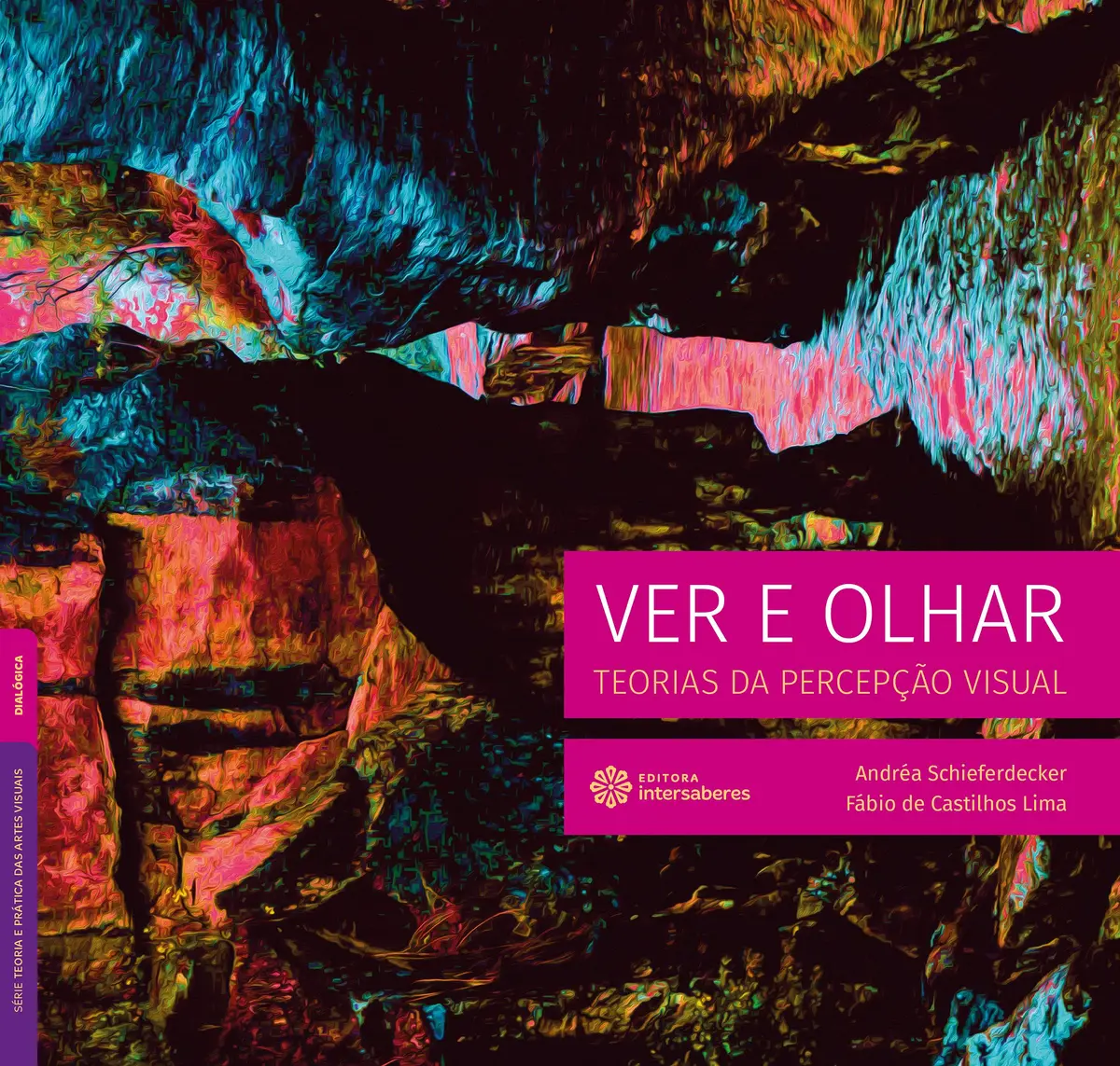 Ver e olhar:: teorias da percepção visual