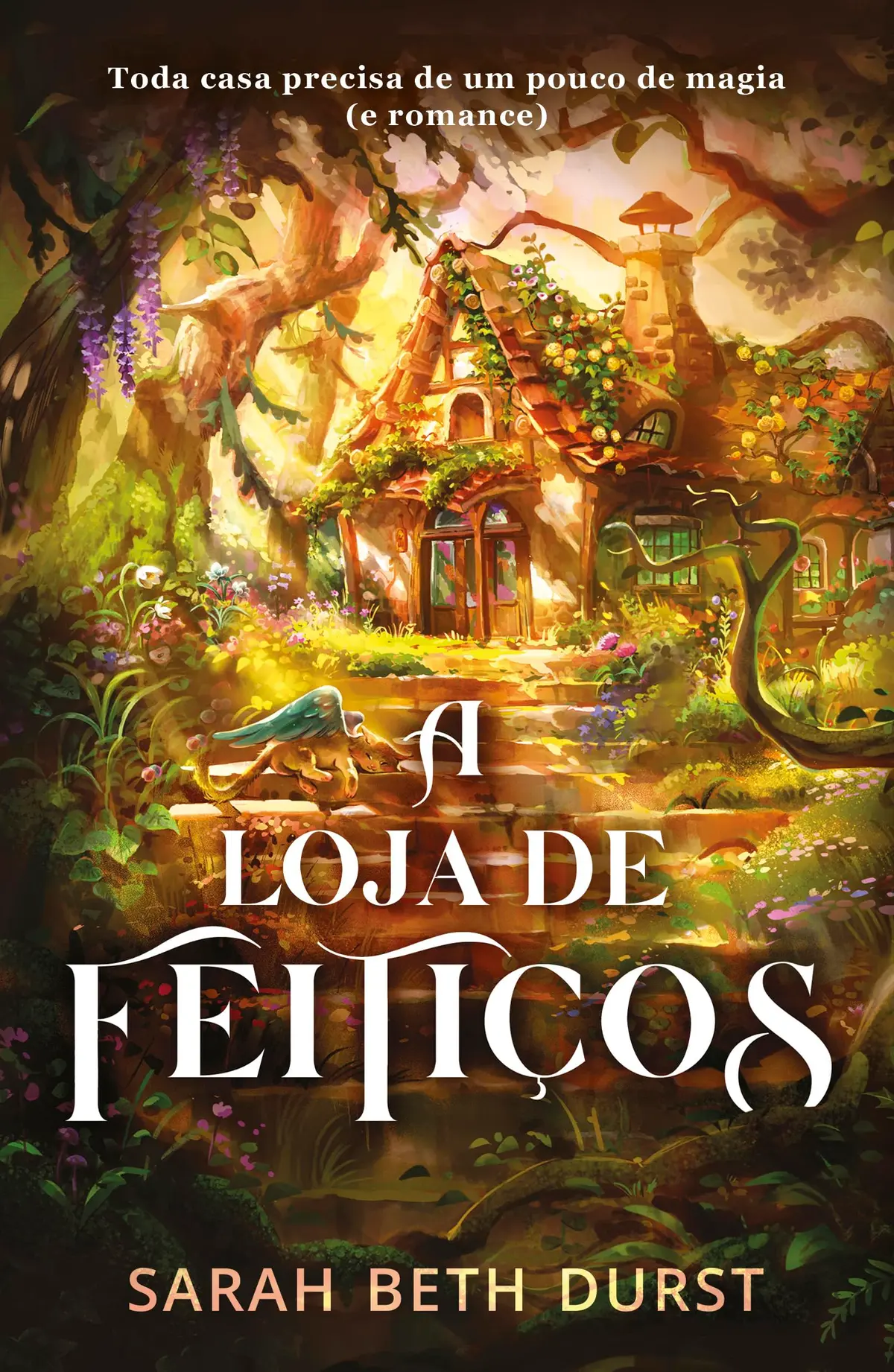 A loja de feitiços - 1