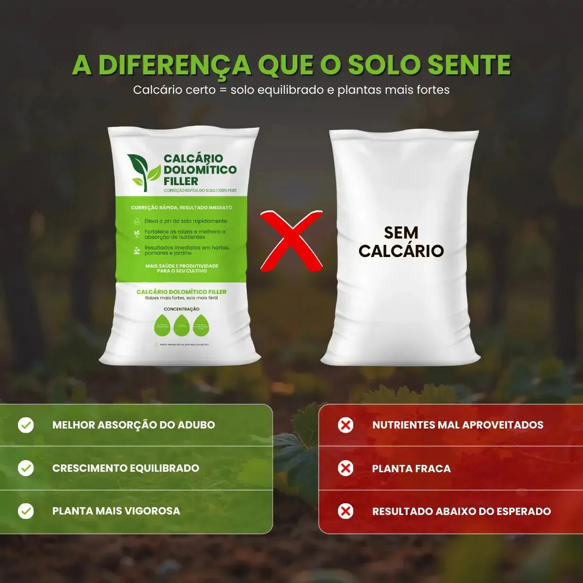 Adubo Fertilizante Npk 10-10-10 3kg + Calcário Dolomítico Filler thumbnail 2
