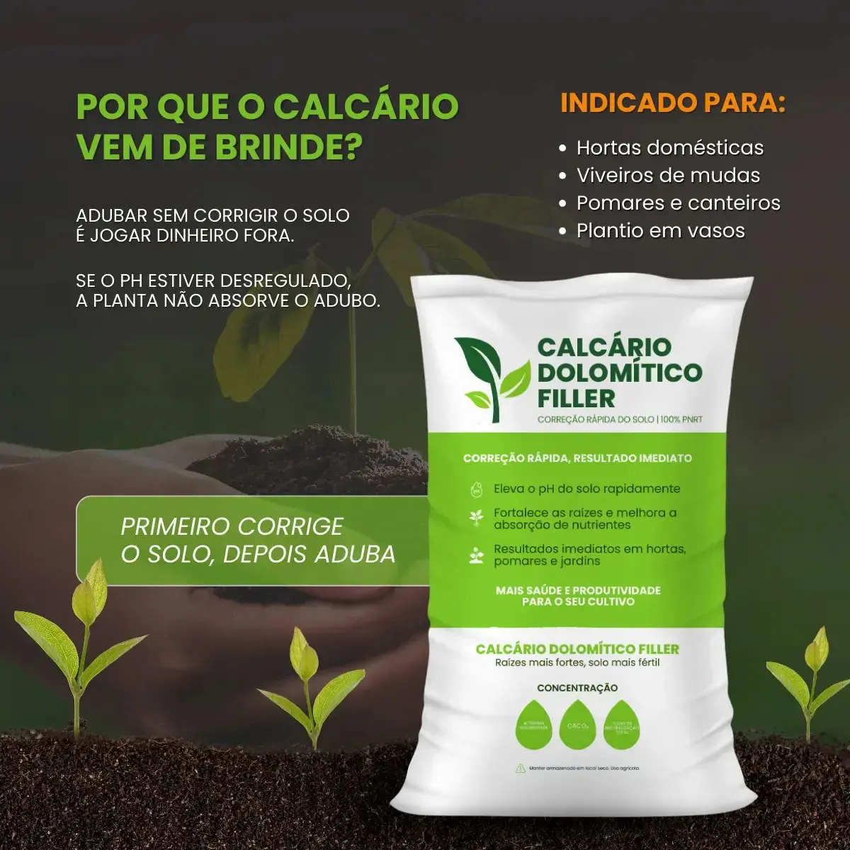Adubo Fertilizante Npk 10-10-10 3kg + Calcário Dolomítico Filler thumbnail 3