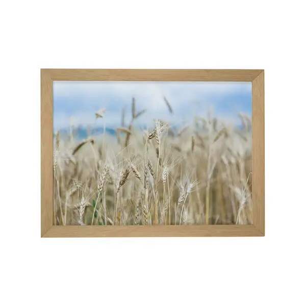 Quadro Floral Tropical com Moldura 40x30cm