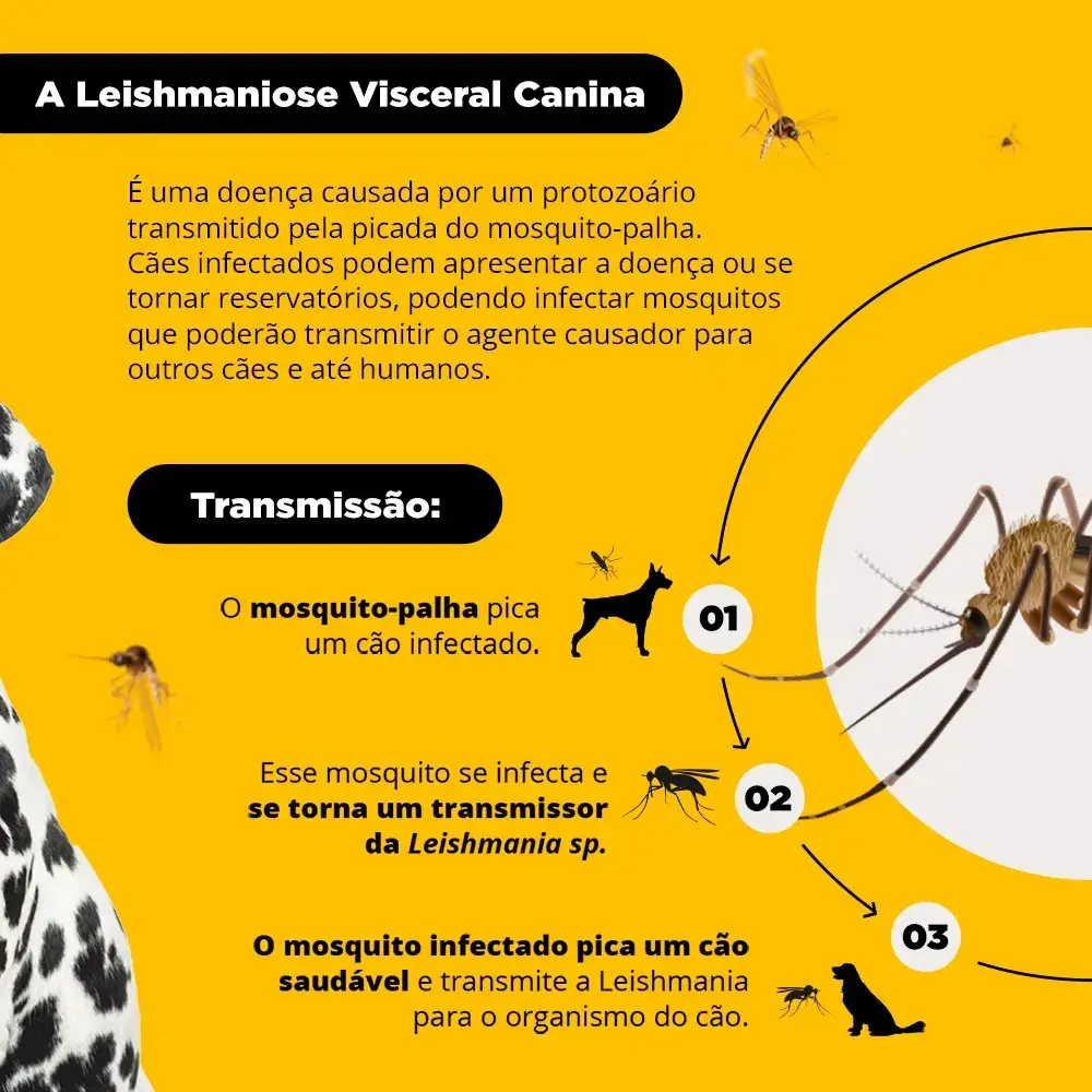 Coleira Antiparasita Scalibor 65 cm Proteção 4 Meses Pulgas e Mosquitos thumbnail 3