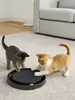 Arranhador Interativo Redondo para Cães e Gatos - 1