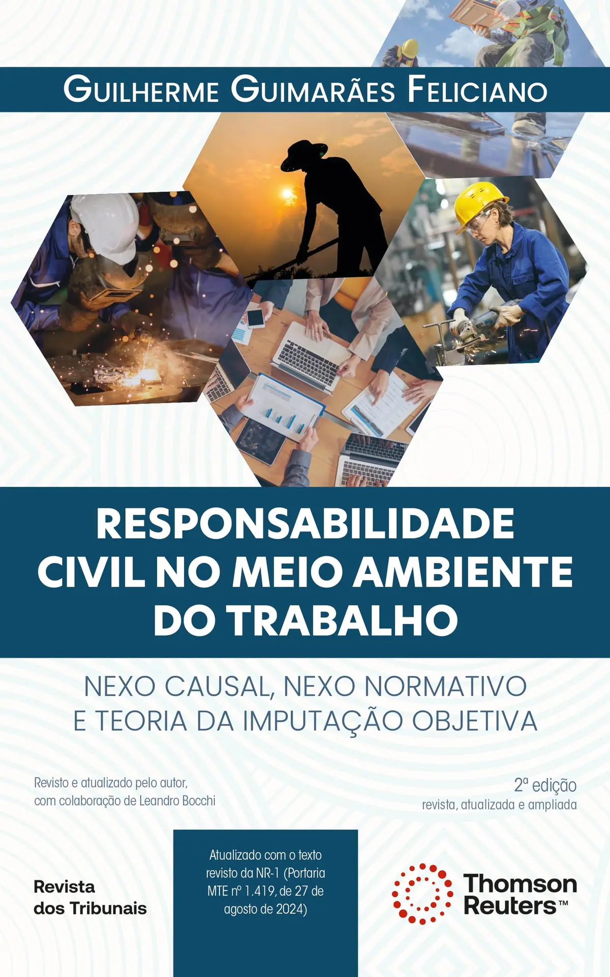Responsabilidade Civil no meio Ambiente do Trabalho 2º edição - 1