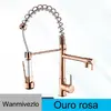 Torneira De Cozinha Gourmet Com Extensor De Spray - 1