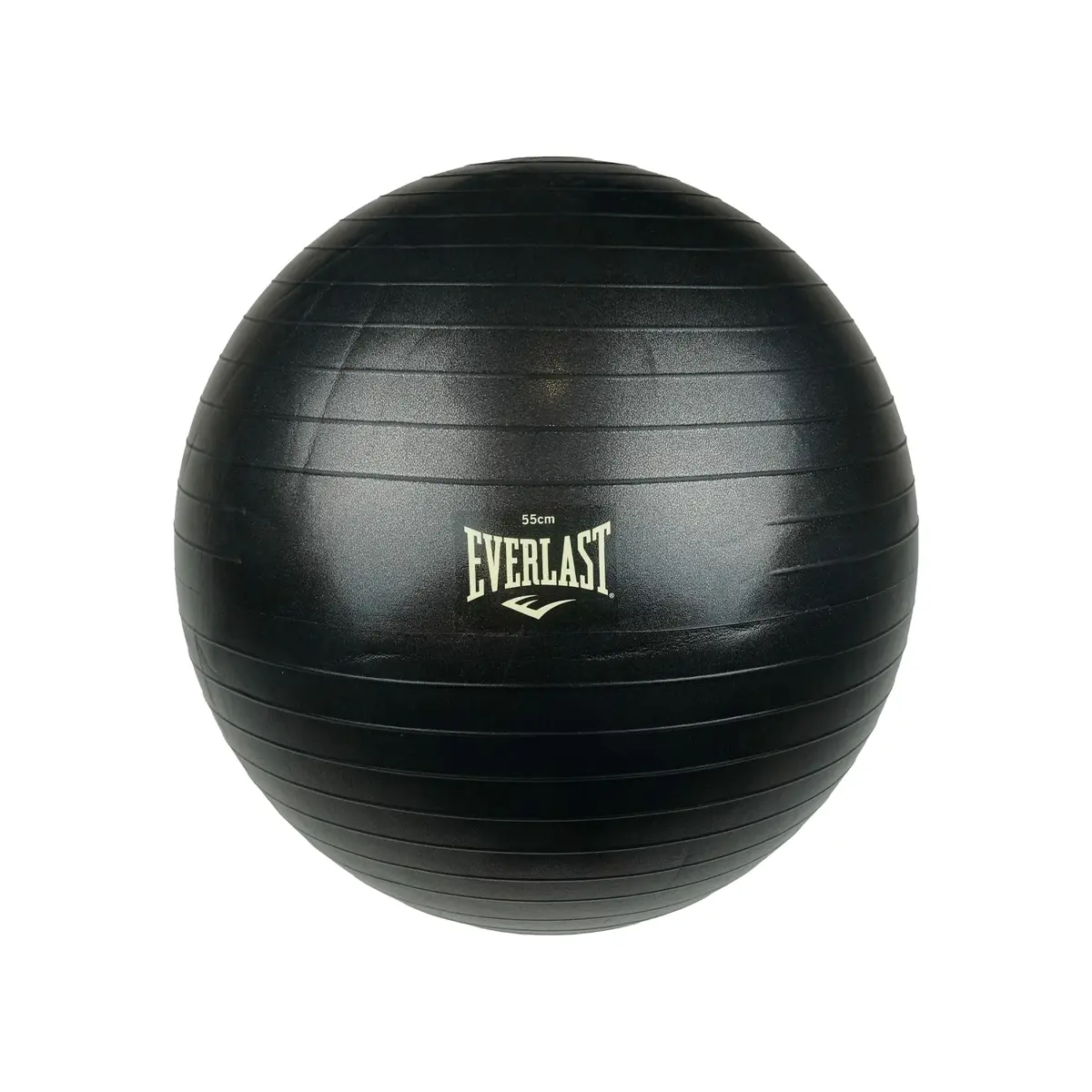 Everlast Bola de Pilates Preto 55cm