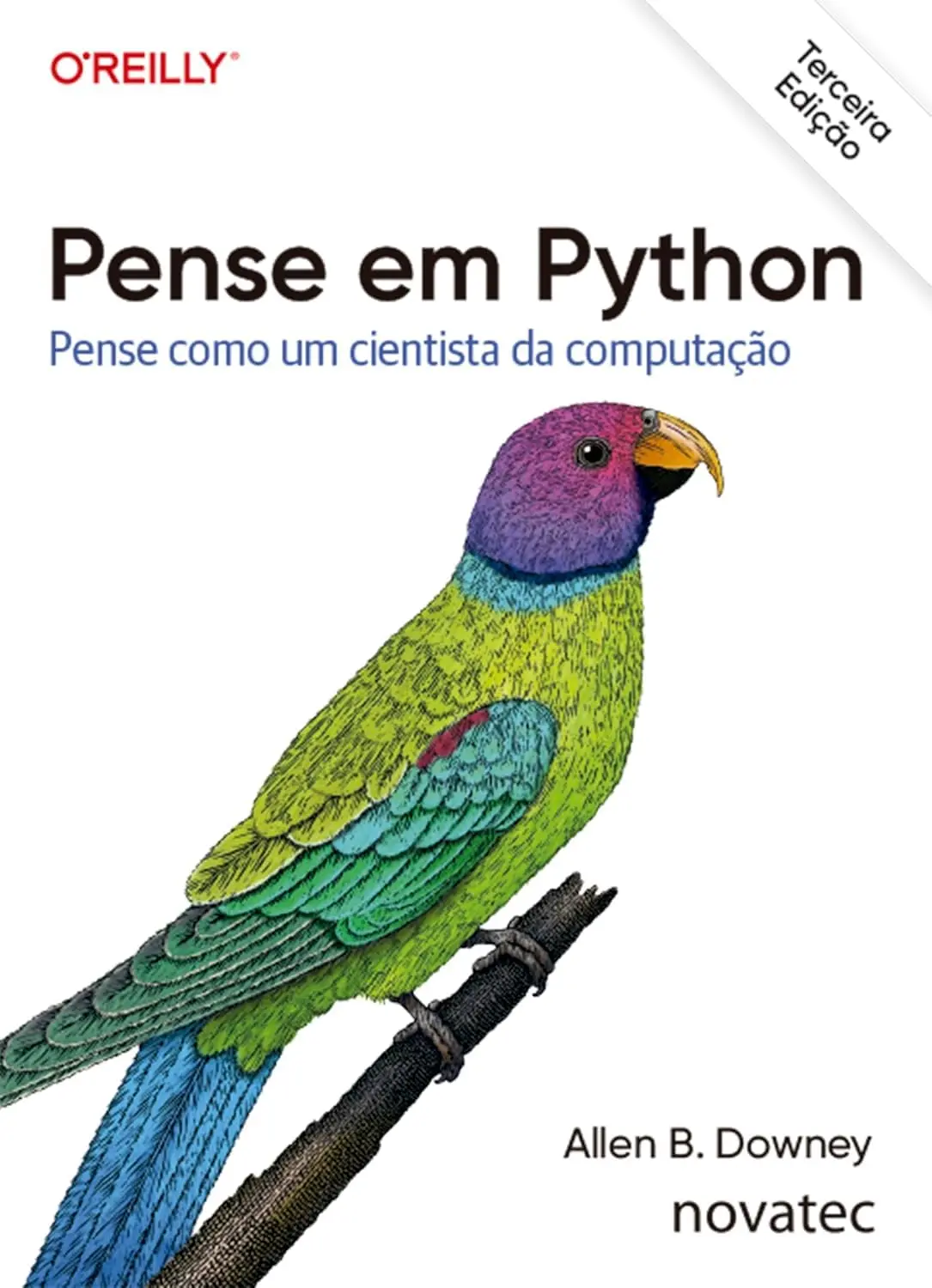 Pense em Python – 3ª Edição: Pense como um cientista da computação - 1