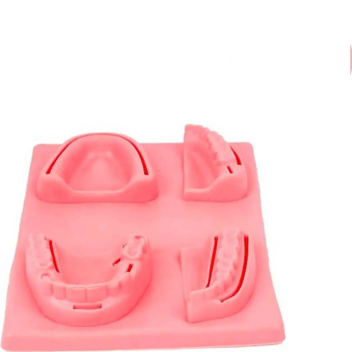 Simulador 3D para Treinamento de Sutura Oral