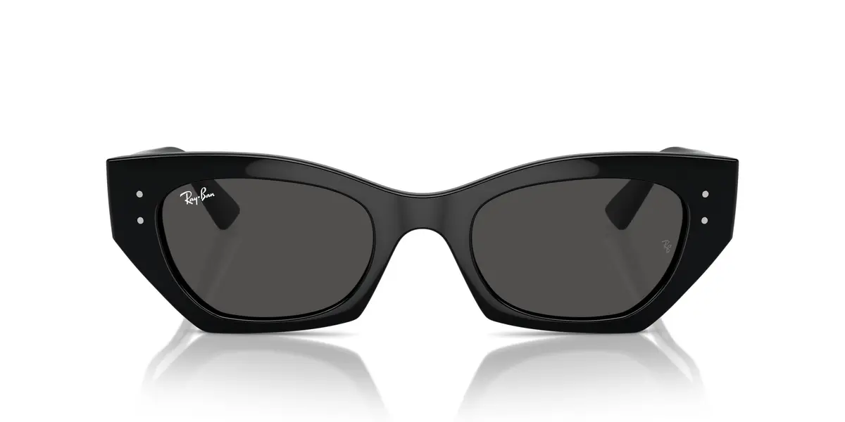 Óculos de Sol Ray-Ban Zena Unissex