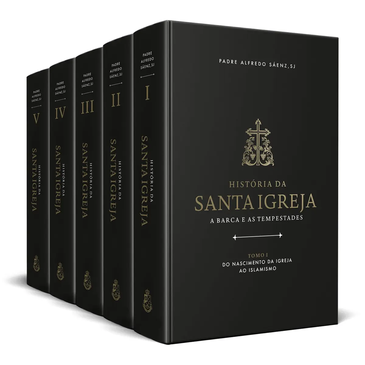 História da Santa Igreja: a barca e as tempestades - Padre Alfredo Sáenz, SJ