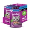 Ração Úmida Whiskas Peixe Jelly 85g c/ 40 un. - 1