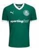 Camisa Palmeiras 25/26 Masculina Uniforme Torcedor - 1
