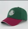 Boné Puma Palmeiras FTBL Archive Verde e Bordô - 1