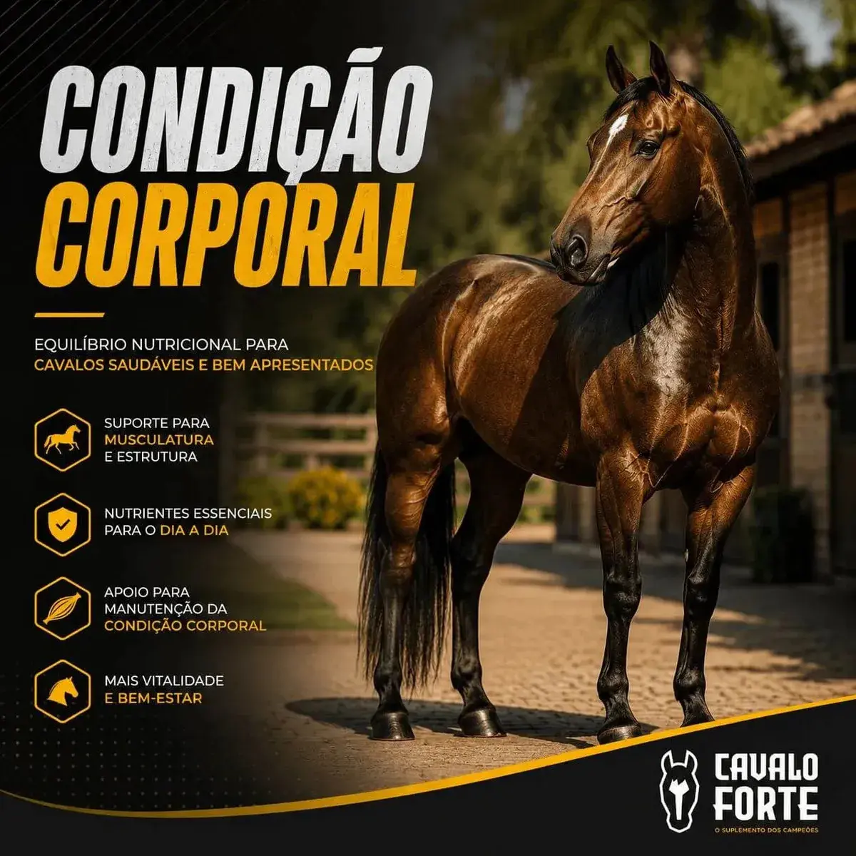 1kg Cavalo Forte Premium Suplemento Cavalo Equinos thumbnail 2