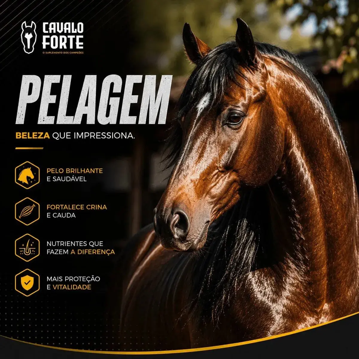 1kg Cavalo Forte Premium Suplemento Cavalo Equinos thumbnail 4