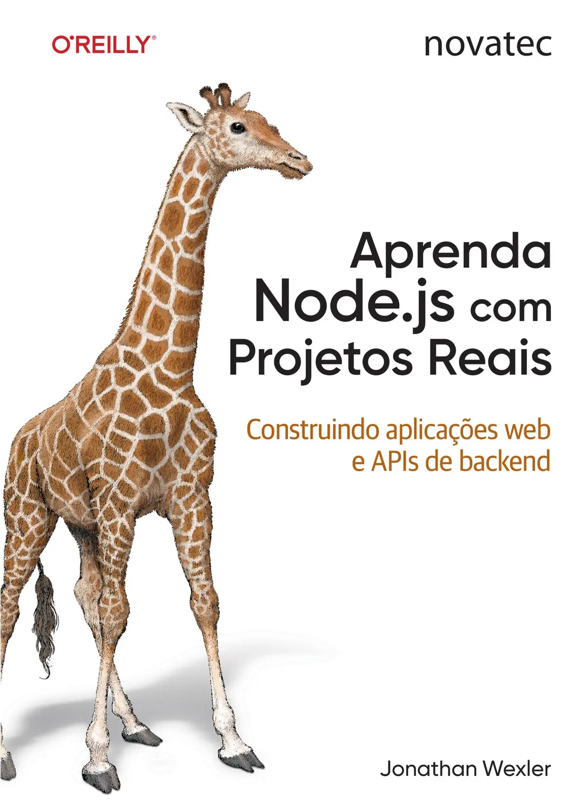 Aprenda Node.js com Projetos Reais: Construindo aplicações web e APIs de backend - 1