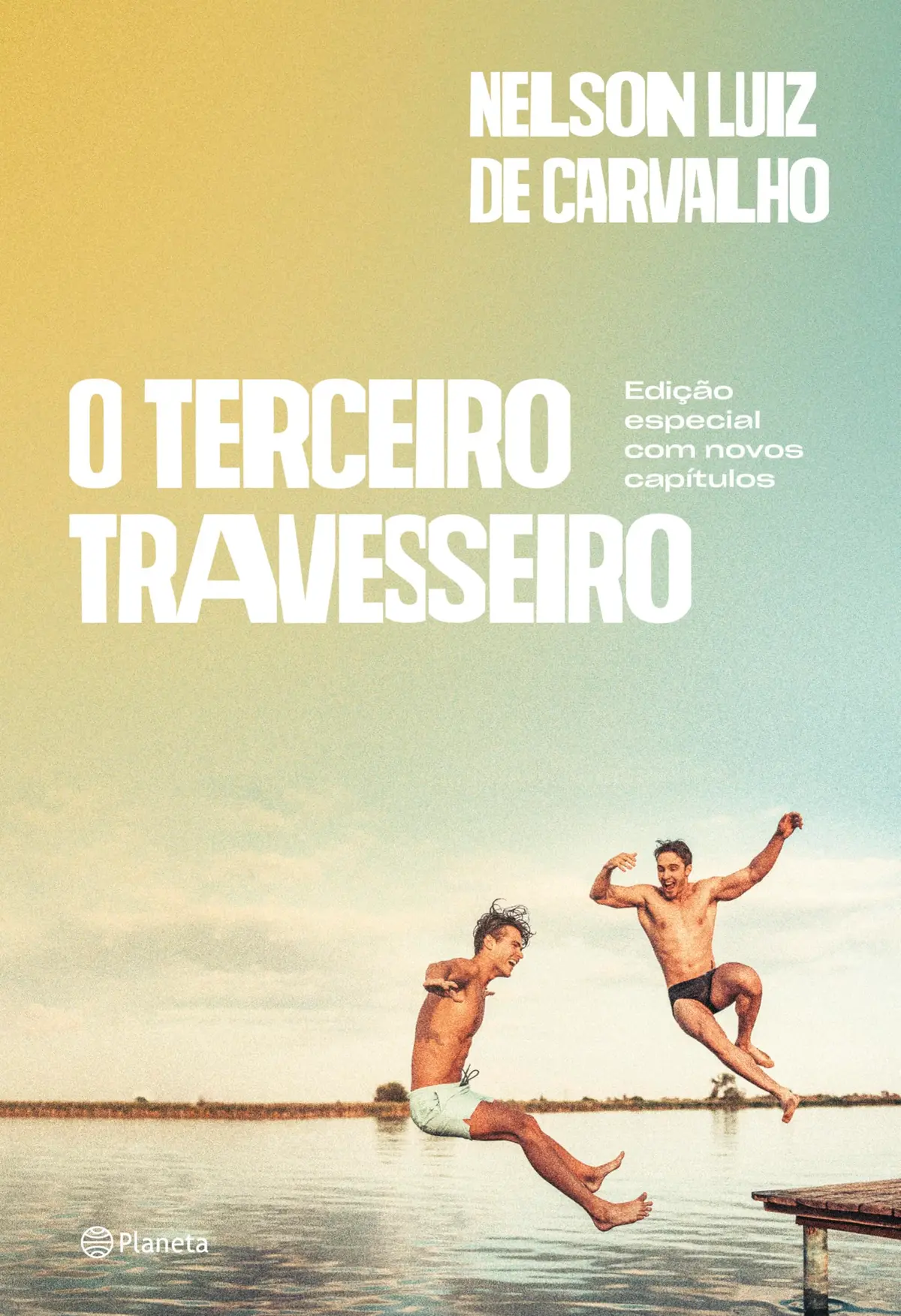 O terceiro travesseiro: Edição ampliada com novos capítulos