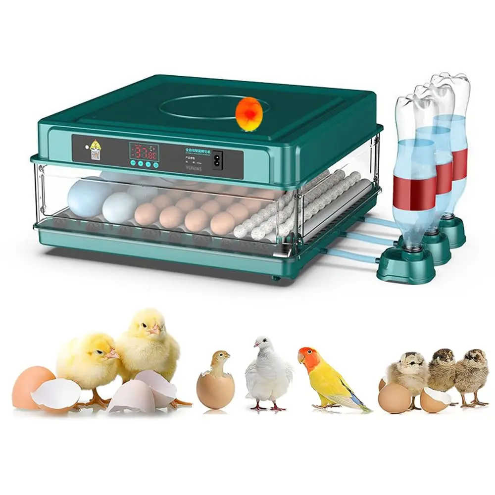 FINYQBET Chocadeira Incubadora Automática e Ovoscópio (72 Ovos, 110V) | PP+ABS, Vira-gem automática, Controle inteligente de temperatura, Bandeja ajustável, Possui vários bicos de injeção de água - 1