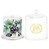 [ PRIME | INTERNACIONAL ] Vela Aromática Cloche Aroma Cassis Michel Design Works 30 horas - 1