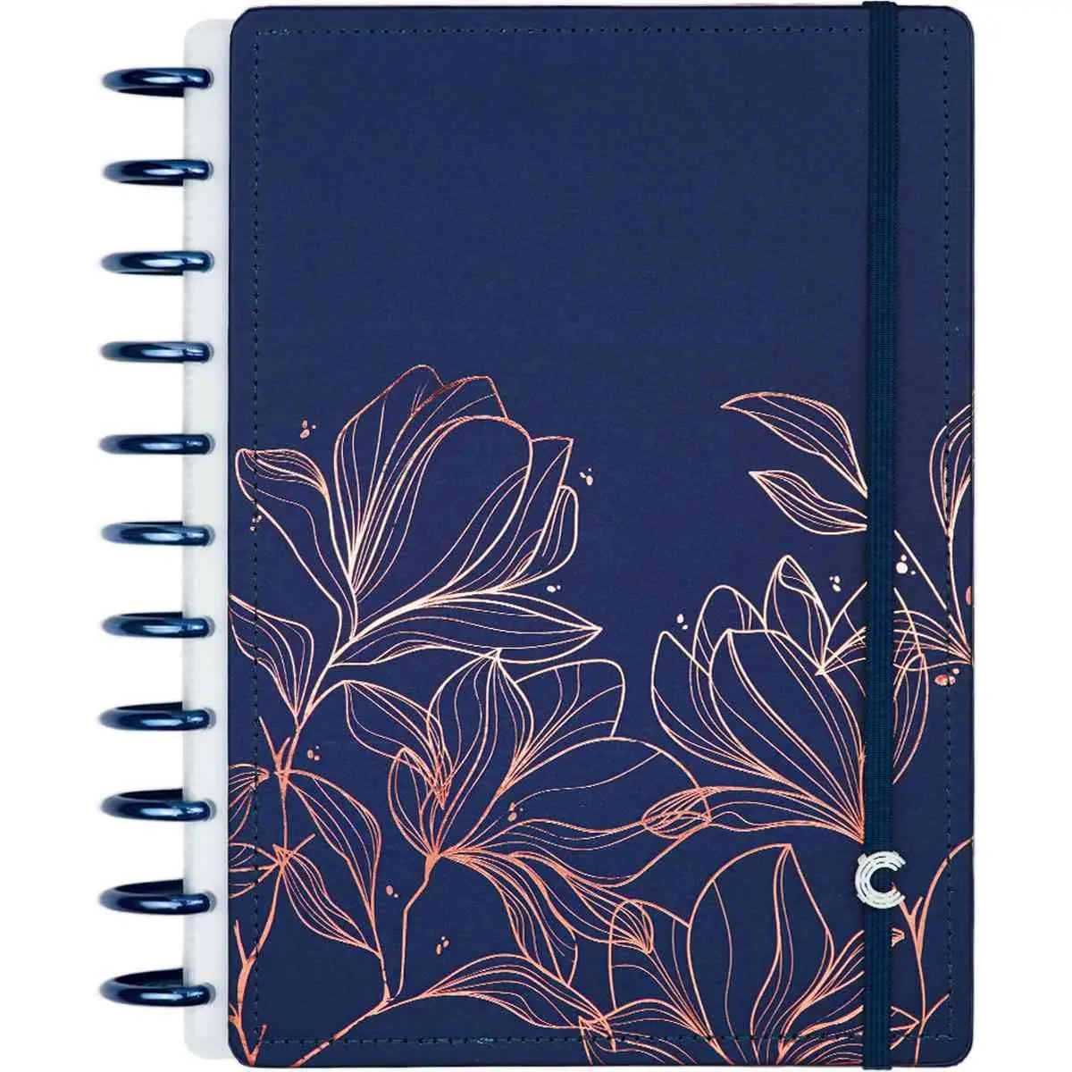 Caderno Inteligente, Grande, Bruna Tavares, 10 matérias, 140 Folhas - 1