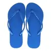 Chinelo Havaianas Slim Azul Lavanda - 1