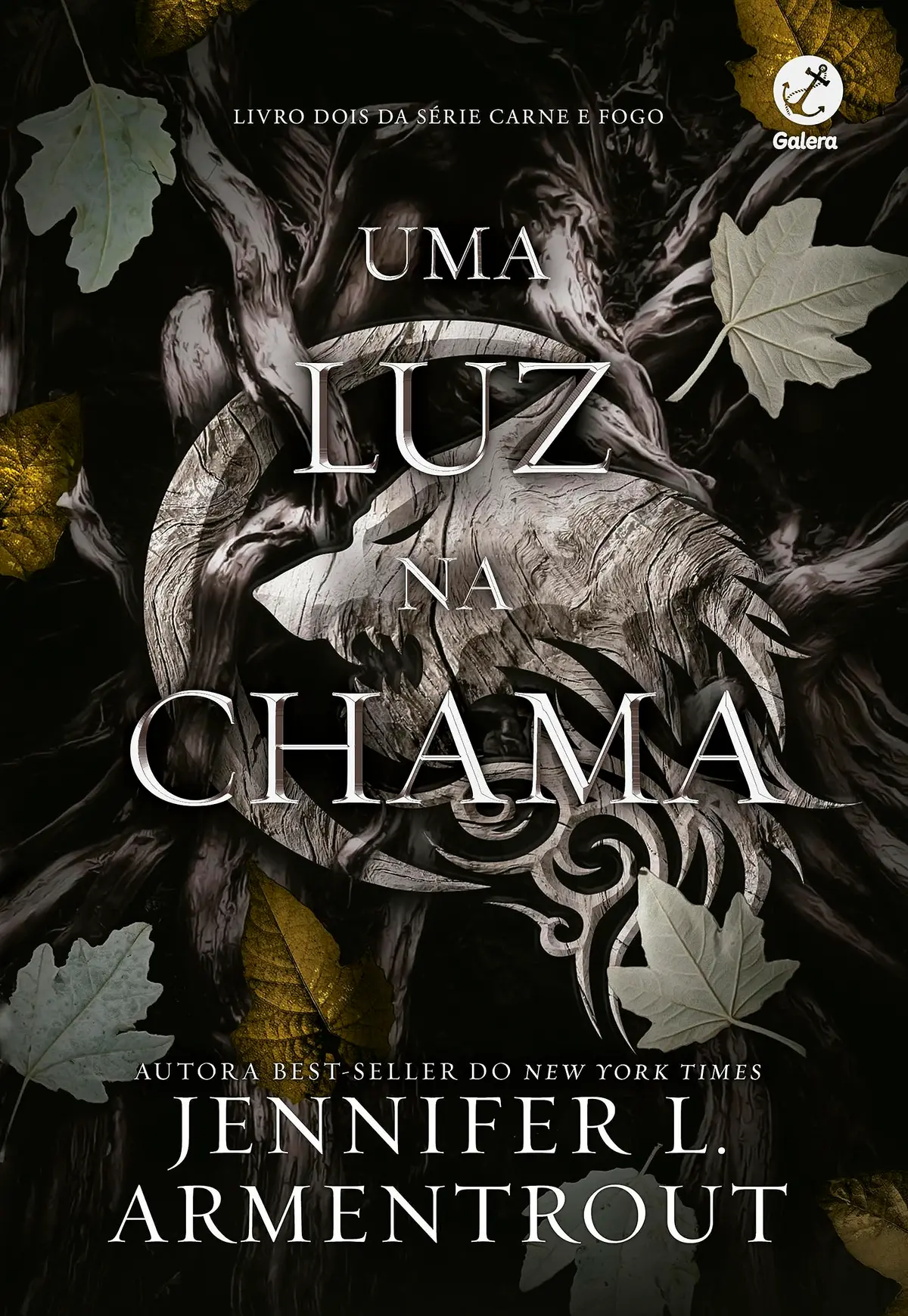 Uma luz na chama (Vol. 2 Carne e Fogo)