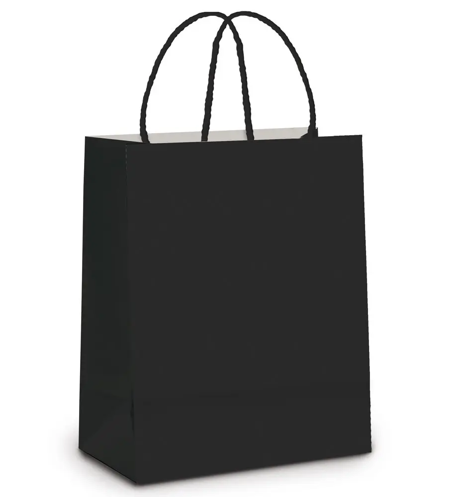 Sacola de Papel Cromus Embalagens, Preto, Pack com 10 Unidades | Para Presente, Lisa, 26x19,5x9,5 cm, Certificação FSC - 1